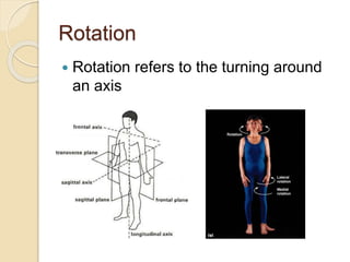 Circular Articular Rotation Example 5.5 synovial joints and contraindicated exercises | PPTX