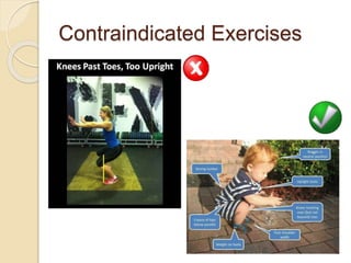 5.5 synovial joints and contraindicated exercises | PPTX