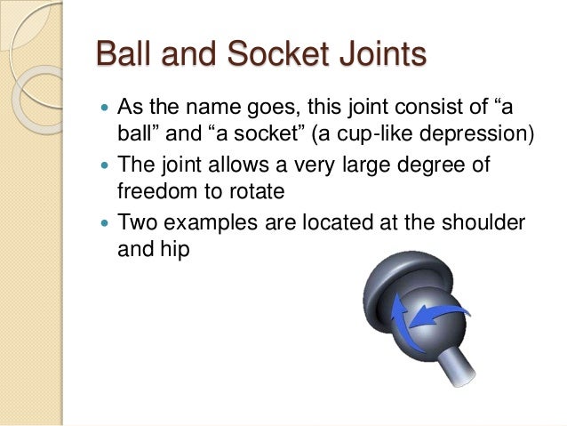 5.5 synovial joints and contraindicated exercises