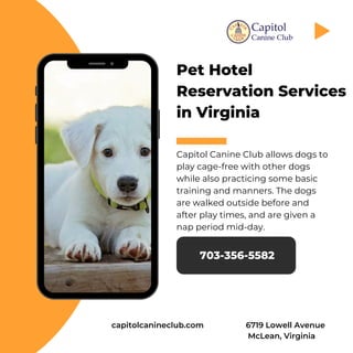 Pet Hotel
Reservation Services
in Virginia
Capitol Canine Club allows dogs to
play cage-free with other dogs
while also practicing some basic
training and manners. The dogs
are walked outside before and
after play times, and are given a
nap period mid-day.
703-356-5582
capitolcanineclub.com 6719 Lowell Avenue
McLean, Virginia
 