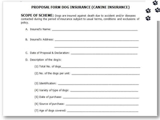 Pet insurance | PPT