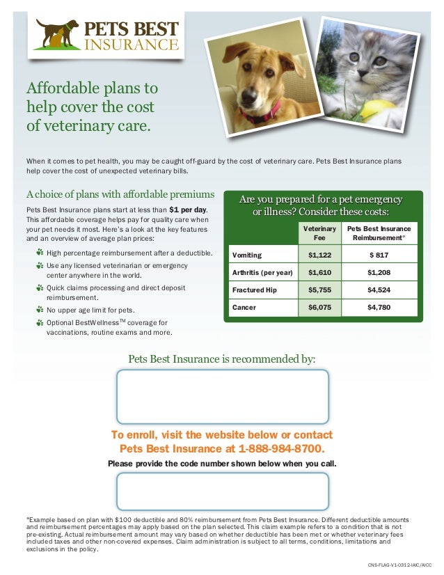 Pet Insurance Flyer