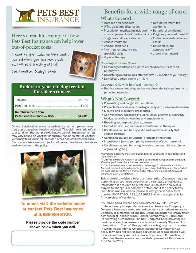 Pet Insurance Flyer