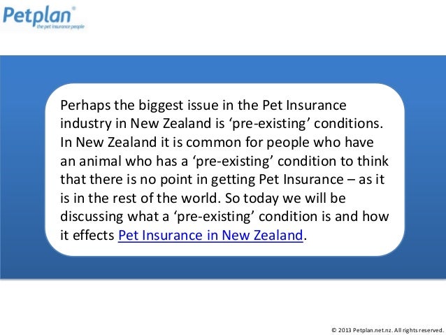 Pet Insurance & Pre-Existing Conditions in New Zealand