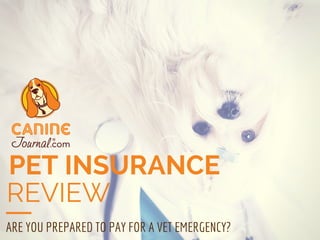 PET INSURANCE
REVIEW
ARE YOU PREPARED TO PAY FOR A VET EMERGENCY?
 