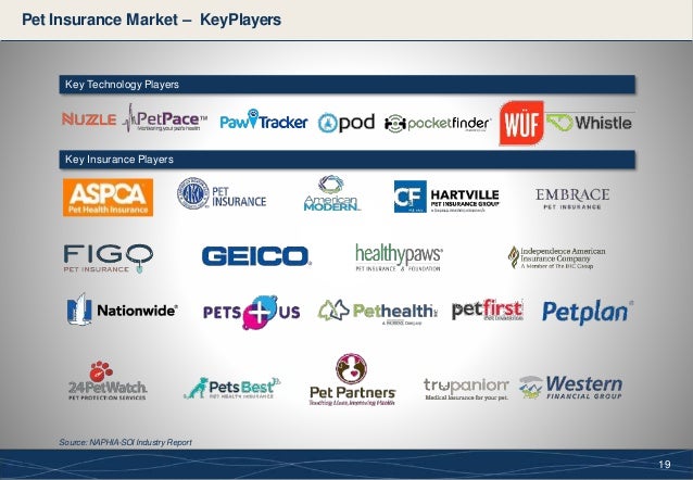 Pet Insurance And Telematics Market Assessment Pet Insurance And Telematics Market Assessment