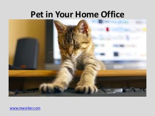 Pet in Your Home Office

www.mworker.com

 
