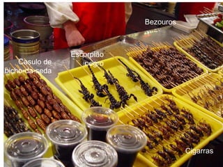 Escorpião
negroCasulo de
bicho-da-seda
Cigarras
Bezouros
 