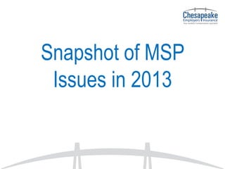 Snapshot of MSP
Issues in 2013

 