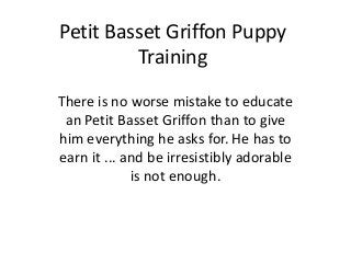 Petit Basset Griffon Puppy
         Training
There is no worse mistake to educate
 an Petit Basset Griffon than to give
him everything he asks for. He has to
earn it ... and be irresistibly adorable
             is not enough.
 