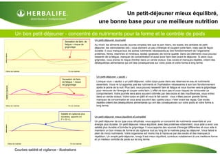 Un bon petit-déjeuner - concentré de nutriments pour la forme et le contrôle de poids
Un petit-déjeuner mieux équilibré,
une bonne base pour une meilleure nutrition
Un petit-déjeuner incomplet
Au réveil, les aliments sucrés (sucres simples) tels que le pain blanc, les toasts, les céréales de petit-
déjeuner, les viennoiseries (etc.) vous donnent un peu d’énergie et coupent votre faim, mais pas de façon
durable. Il vous manque tous les autres nutriments nécessaires au bon fonctionnement de l’organisme:
protéines, fibres, vitamines et minéraux, lipides (graisses) de bonne qualité. Sans ces éléments vous pouvez
ressentir de la fatigue, manquer de concentration et aussi avoir faim bien avant le déjeuner. Si alors vous
grignotez, vous prenez le risque d’entrer dans un cercle vicieux. Ces excès et manques répétés, créent des
déséquilibres alimentaires qui ont des conséquences sur votre poids et votre forme à long terme.
Un petit-déjeuner « sauté »
Lorsque vous « sautez » un petit-déjeuner, votre corps puise dans ses réserves en eau et nutriments
essentiels. Vous ne lui apportez pas les nutriments et l’hydratation nécessaires à son bon fonctionnement
après le jeûne de la nuit. Plus tard, vous pouvez ressentir faim et fatigue et vous tourner vers le grignotage
pour retrouver de l’énergie et couper votre faim. L’effet ne dure pas et vous risquez de renouveler ce
comportement. Votre journée sera alors souvent rythmée par des excès et des insuffisances, vous entrez
dans un cercle vicieux. Votre corps en pâtit et vous le fait savoir : vous n’êtes pas en grande forme,
manquez de concentration et vous avez souvent des «petits creux » bien avant les repas. Ces excès
répétés créent des déséquilibres alimentaires qui ont des conséquences sur votre poids et votre forme à
long terme.
Un petit-déjeuner mieux équilibré et complété
Un petit déjeuner de ce type vous réhydrate, vous apporte un concentré de nutriments essentiels et une
énergie plus durable. Un petit-déjeuner mieux équilibré, avec des protéines notamment, vous aide a avoir une
satiété plus durable et à éviter le grignotage. Il vous apporte des sources d’énergie différentes et vous aide à
maintenir un bon niveau de forme et de vigilance tout au long de la matinée jusqu’au déjeuner. Vous faites le
plein de micro nutriments. Votre organisme est moins mis à l’épreuve par des excès et des manques à
répétition. Un simple petit-déjeuner, lorsqu’il est mieux équilibré, contribue notablement à une meilleure forme
et un meilleur contrôle de poids sur le long terme.
Courbes satiété et vigilance - illustrations
Satiétéetvigilance
Début de matinée Fin de matinée
Sensation de faim,
de fatigue + risque
de grignotage
Satiétéetvigilance
Début de matinée Fin de matinée
Sensation de faim, de
fatigue + risque de
grignotage
Satiétéetvigilance
Début de matinée Fin de matinée
Satiété et vigilance plus
durables, apports en
P + G + L
 