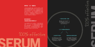 Petite Amie 2013 Catalog