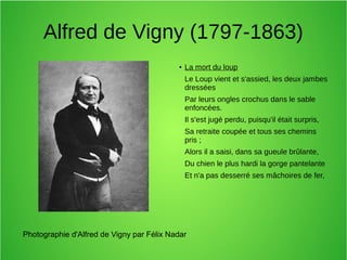 Alfred de Vigny (1797-1863)
● La mort du loup
Le Loup vient et s'assied, les deux jambes
dressées
Par leurs ongles crochus dans le sable
enfoncées.
Il s'est jugé perdu, puisqu'il était surpris,
Sa retraite coupée et tous ses chemins
pris ;
Alors il a saisi, dans sa gueule brûlante,
Du chien le plus hardi la gorge pantelante
Et n'a pas desserré ses mâchoires de fer,
Photographie d'Alfred de Vigny par Félix Nadar
 