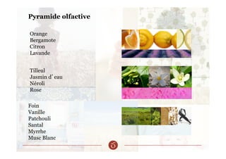 Orange
Bergamote
Citron
Lavande
Tilleul
Jasmin d’eau
Néroli
Rose
Foin
Vanille
Patchouli
Santal
Myrrhe
Musc Blanc
Pyramide olfactive
 