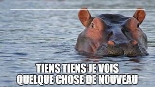 TITRE DE LA PRÉSENTATION 11/02/20XX 29
 