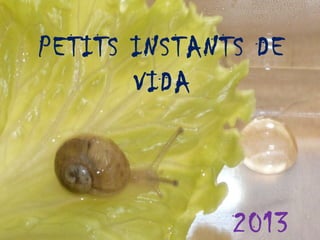 PETITS INSTANTS DE
VIDA

2013

 