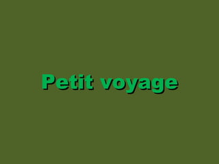 Petit voyagePetit voyage
 