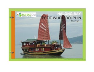 Petit white dolphin cruise for 2days