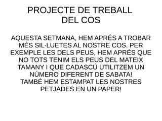 PROJECTE DE TREBALL 
DEL COS 
AQUESTA SETMANA, HEM APRÉS A TROBAR 
MÉS SIL·LUETES AL NOSTRE COS. PER 
EXEMPLE LES DELS PEU...