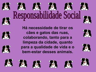 Responsabilidade Social Há necessidade de tirar os cães e gatos das ruas, colaborando, tanto para a limpeza da cidade, quanto para a qualidade de vida e o bem-estar desses animais. 