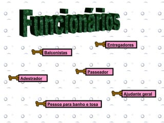 Funcionários Balconistas Adestrador Entregadores Passeador Ajudante geral Pessoa para banho e tosa 