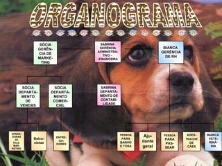 ORGANOGRAMA SÓCIA GERÊN-CIA DE MARKE-TING SÓCIA DEPARTA-MENTO DE VENDAS SÓCIA DEPARTA-MENTO COMER-CIAL OPERA-DORAS DE TELE-MAR-KETING ENTRE-GA-DORES Balco-nistas SABRINA  GERÊNCIA ADMINISTRA-TIVO –  -FINANCEIRA SABRINA  DEPARTA-MENTO DE CONTABI-LIDADE BIANCA  GERÊNCIA DE RH BIANCA  VETE-RINÁ-RIA PESSOA  PARA PAS-SEAR ADES- TRADOR   DE CÃES Aju-dante geral PESSOA  PARA BANHO E TOSA 