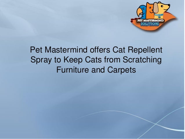 cat repellent for furniture scratching