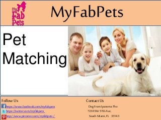 MyFabPets
Follow Us Contact Us
https://www.facebook.com/myfab.pets Dog From Ipanema The
https://twitter.com/myfabpets 7230SW57thAve,
http://www.pinterest.com/myfabpets / South Miami, FL 33143
Pet
Matching
 