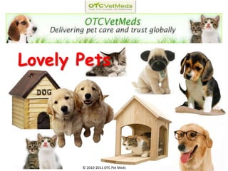 Lovely Pets © 2010-2011 OTC Pet Meds  