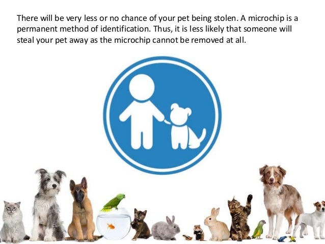 Pet Protect Microchip Id 2025
