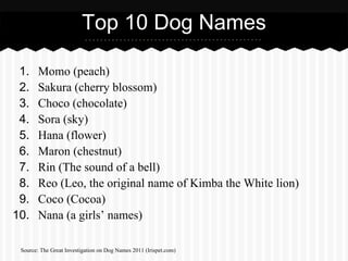 Top 10 Dog Names

 1.     Momo (peach)
 2.     Sakura (cherry blossom)
 3.     Choco (chocolate)
 4.     Sora (sky)
 5.     Hana (flower)
 6.     Maron (chestnut)
 7.     Rin (The sound of a bell)
 8.     Reo (Leo, the original name of Kimba the White lion)
 9.     Coco (Cocoa)
10.     Nana (a girls’ names)

 Source: The Great Investigation on Dog Names 2011 (Irispet.com)
 