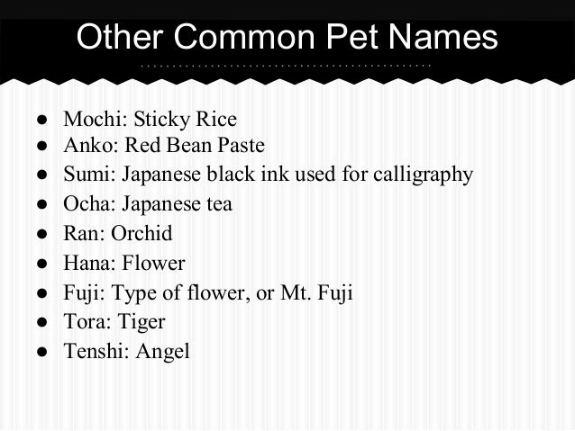 28++ Cute names for pets in japanese ideas