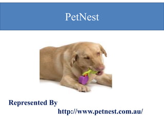 PetNest
Represented By
http://www.petnest.com.au/
 