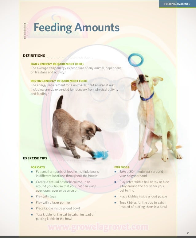 Pet Nutrition Reference Manual