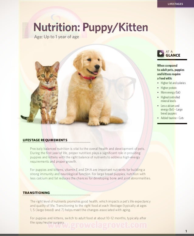 Pet Nutrition Reference Manual