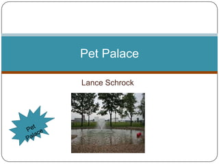Pet Palace

Lance Schrock
 
