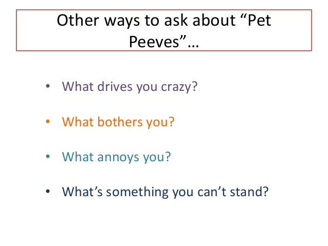 What Is Pet Peeve Examples Pet Peeves Essay Example Touchedquitting Tk Learn English Essay also What Is A Thesis In An Essay Do My Assignment Java