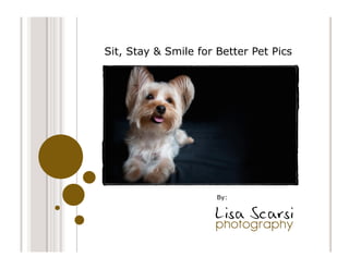 Sit, Stay & Smile for Better Pet Pics




                      By:
 