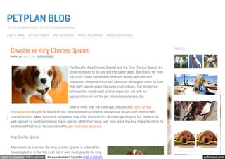PETPLAN BLOG
    THE PET INSURANCE PEOPLE – BEST PET INSURANCE AUSTRALIA


   SWEET HOME CAT INSURANCE DOG INSURANCE HORSE INSURANCE TRAVEL INSURANCE


   PETPLAN BLOG Spaniel
   SWEET HOME CAT INSURANCE DOG INSURANCE HORSE INSURANCE TRAVEL INSURANCE

    Cavalier or King Charles                                                                                                     PHOTOS

      BY PETPLAN APRIL 24, 2013 CHARLES SPANIEL



                                                            The Cavalier King Charles Spaniel and the King Charles Spaniel are
                                                            often mistaken to be one and the same breed. But this is far from
                                                            the truth! These are entirely different breeds with distinct
                                                            standards, characteristics and identities although it must be said
                                                            that both breeds share the same coat colours. The distinction
                                                            between the two breeds is then important not only for
                                                            appropriate care but for pet insurance purposes, too.

                                                Keep in mind that the coverage, clauses and costs of dog
      insurance policies will be based on the common health problems, behavioural issues, and other breed
      characteristics. Many insurance companies may offer one-size-fits-all coverage for pets but owners are
      well advised to avoid purchasing these policies. With that being said, here are a few key characteristics for
      each breed that must be considered for pet insurance purposes.

      King Charles Spaniel

      Also known as Charlies, the King Charles Spaniel is believed to
      have originated in the Far East but it was made popular by King
open in browser PRO version              Are you a developer? Try out the HTML to PDF API                                                 pdfcrowd.com
 
