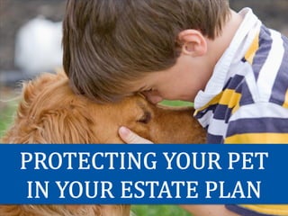 Protecting Your Pet In Your Estate Plan