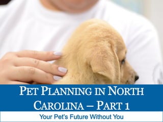 Pet Planning in North Carolina: Your Pet's Future Without You