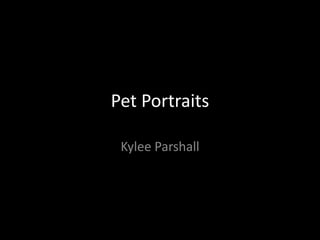 Pet Portraits
Kylee Parshall
 