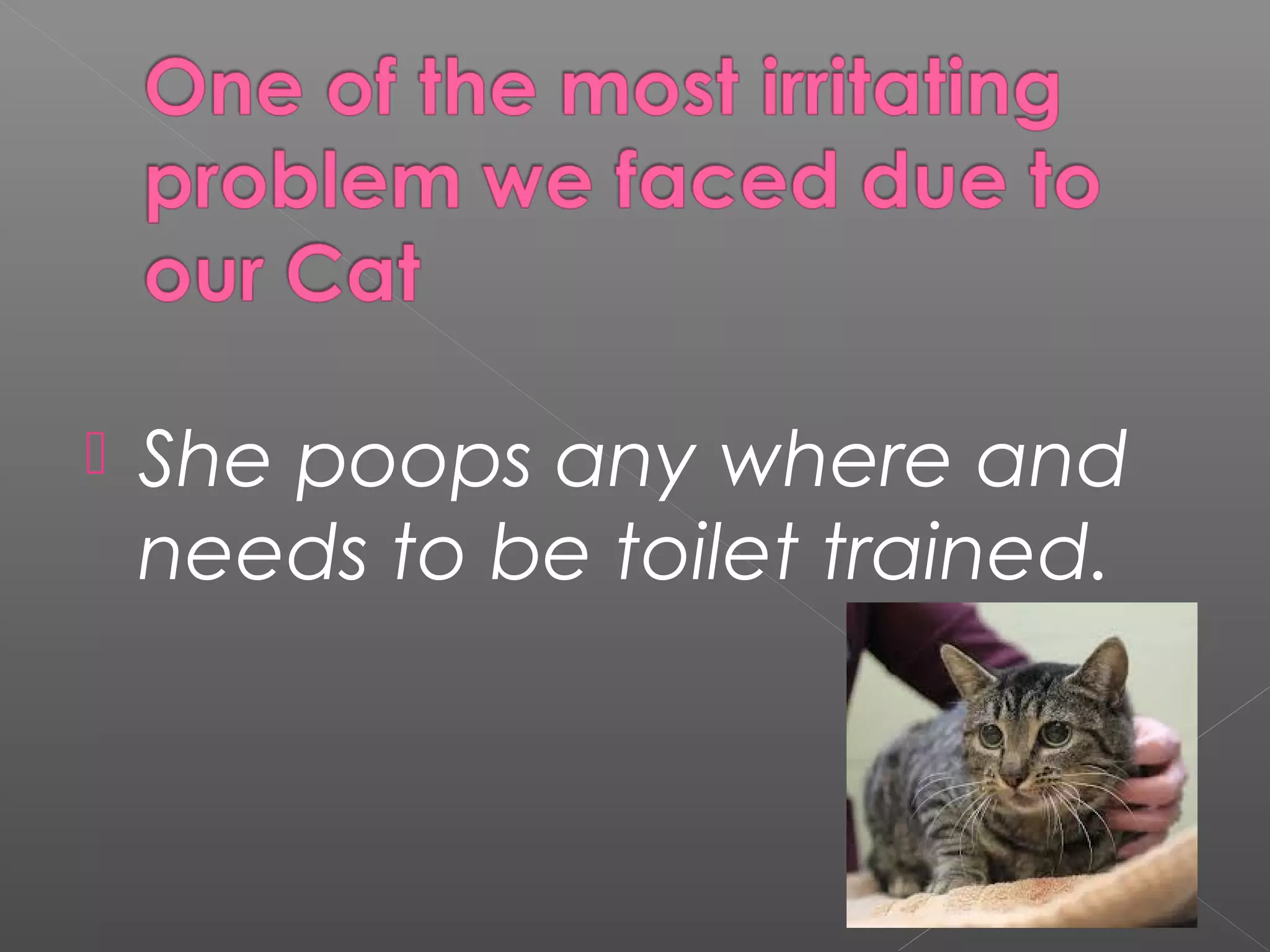  She poops any where and
needs to be toilet trained.