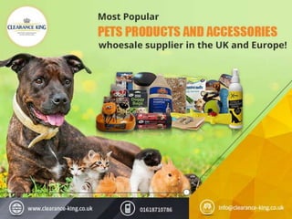 Wholesale Pet Products Supplier in UK