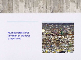 Muchas botellas PET
terminan en tiraderos
clandestinos