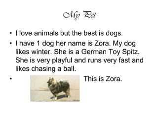 My PetI love animals but the best is dogs. I have 1 dog her name is Zora. My dog likes winter. She is a German Toy Spitz. She is very playful and runs very fast and likes chasing a ball.                                     This is Zora. 