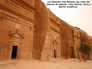 Los Nabateos eran Beduinos que vivían del 
comercio de especias, como incienso, mirra y 
plantas aromáticas. 
 