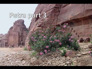 Petra part 3  