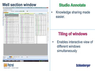 Well section window
• Knowledge sharing made
easier.
• Enables interactive view of
different windows
simultaneously
 