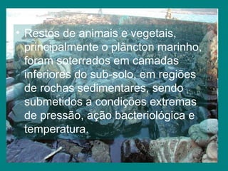 Restos de animais e vegetais, principalmente o plâncton marinho, foram soterrados em camadas inferiores do sub-solo, em regiões de rochas sedimentares, sendo submetidos a condições extremas de pressão, ação bacteriológica e temperatura. 